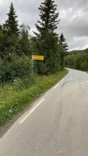 Poster på Fuglehovda (Primhovda S) ligger ute til søndag 3/9 ettermiddag.